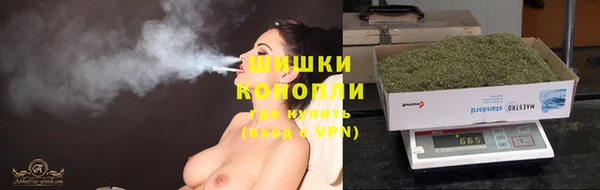 ГАЛЛЮЦИНОГЕННЫЕ ГРИБЫ Армянск